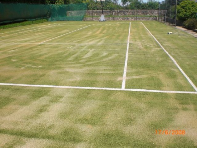 Mr Carby's Tennis Court - Swindon after